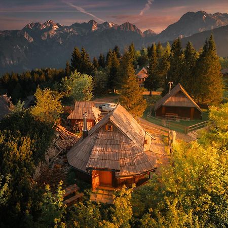 Koca Kronca - Velika Planina Stahovica Dış mekan fotoğraf