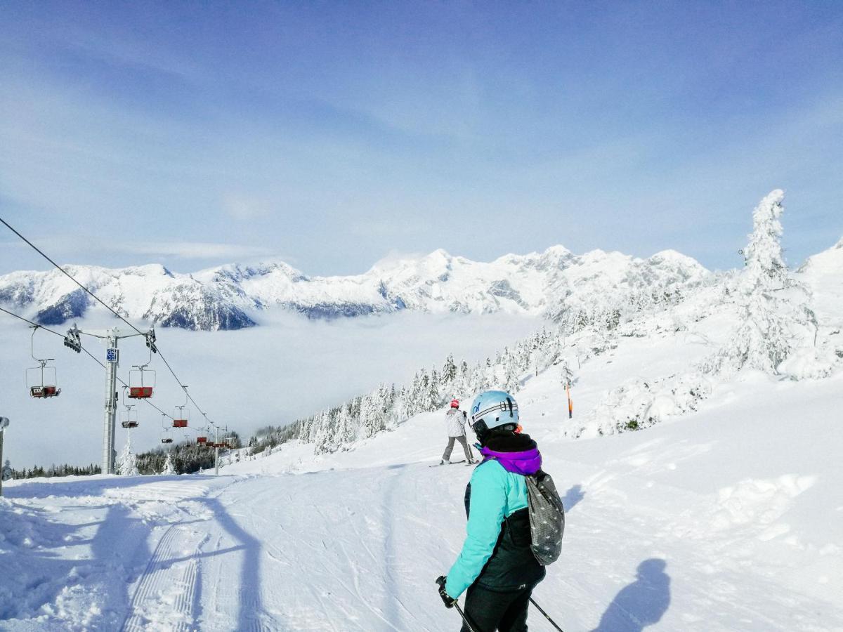 Koca Kronca - Velika Planina Stahovica Dış mekan fotoğraf