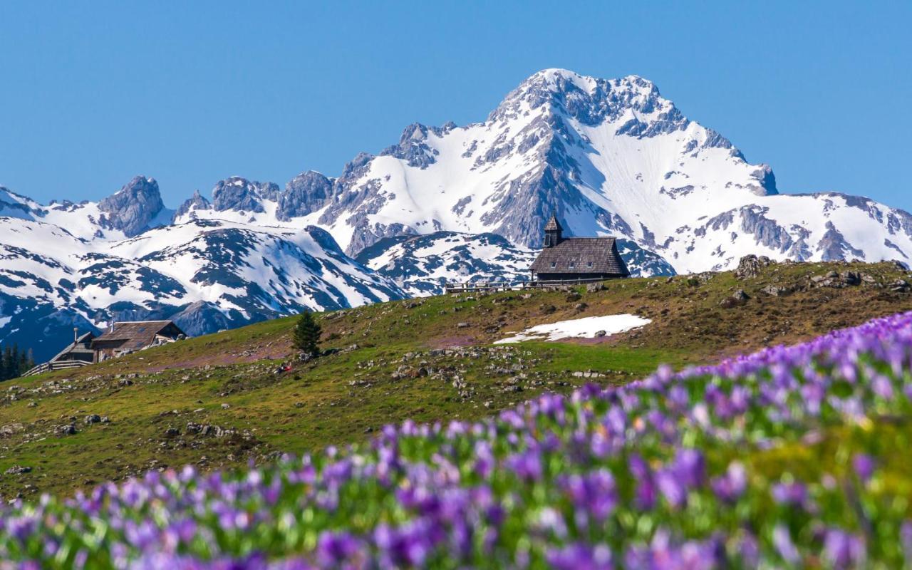 Koca Kronca - Velika Planina Stahovica Dış mekan fotoğraf