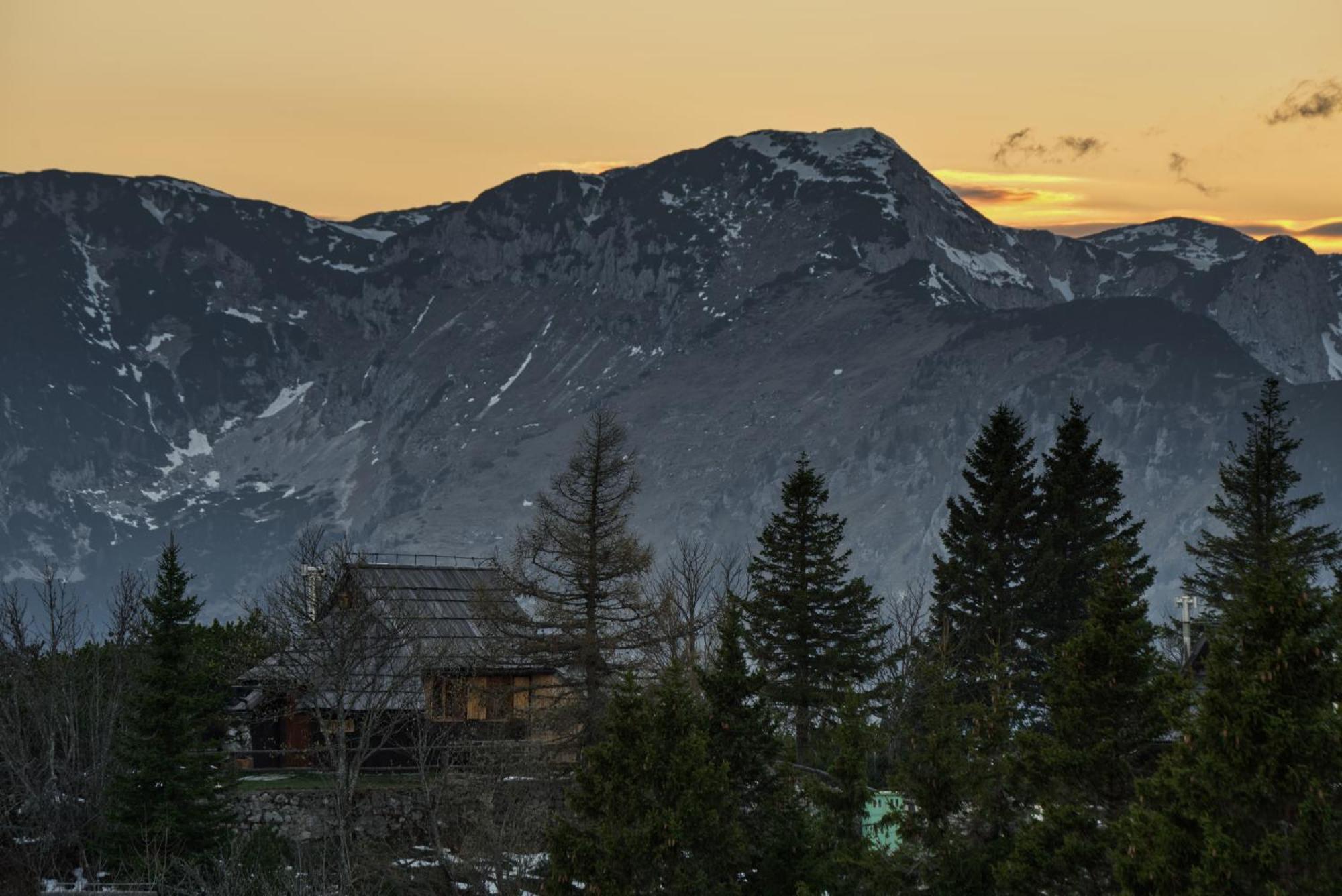 Koca Kronca - Velika Planina Stahovica Dış mekan fotoğraf