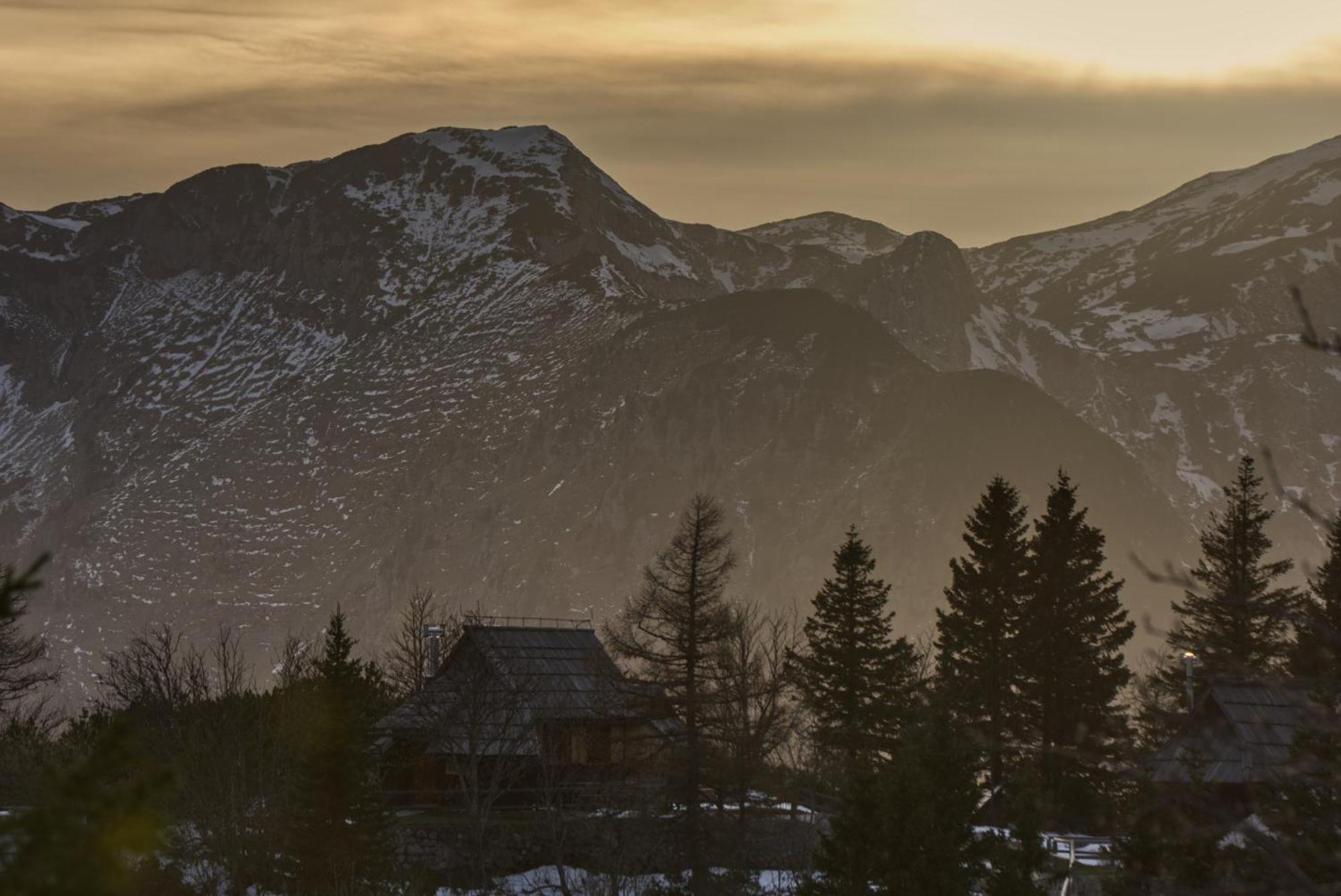 Koca Kronca - Velika Planina Stahovica Dış mekan fotoğraf